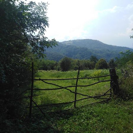 Guesthouse Smiljanic Slavkovica Exteriér fotografie