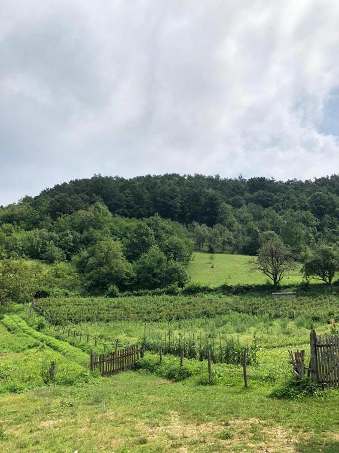 Guesthouse Smiljanic Slavkovica Exteriér fotografie