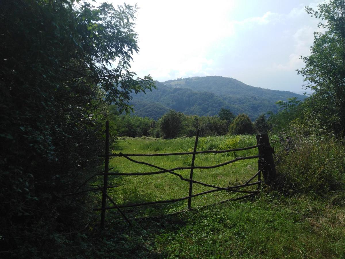 Guesthouse Smiljanic Slavkovica Exteriér fotografie