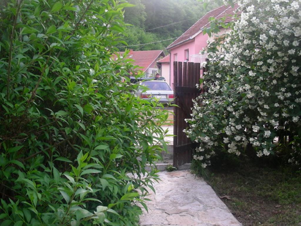 Guesthouse Smiljanic Slavkovica Exteriér fotografie