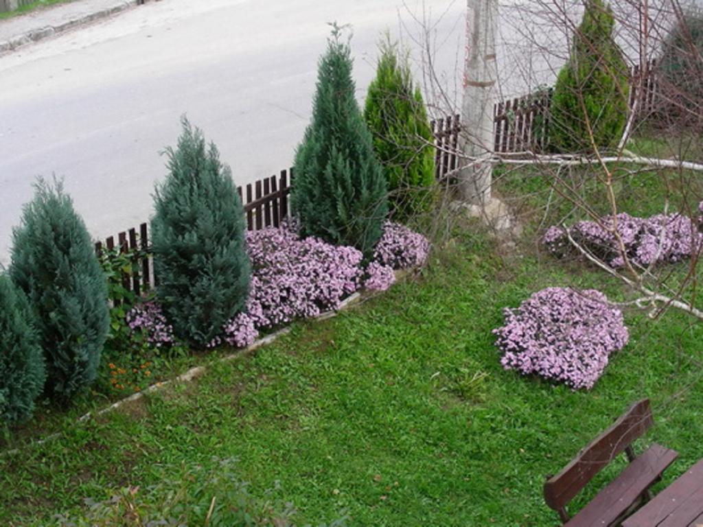 Guesthouse Smiljanic Slavkovica Exteriér fotografie