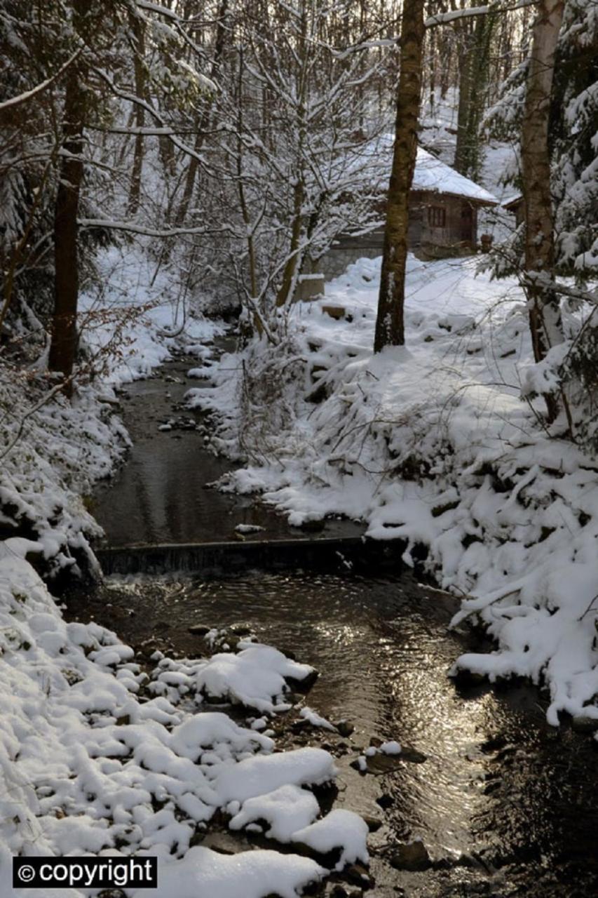 Guesthouse Smiljanic Slavkovica Exteriér fotografie
