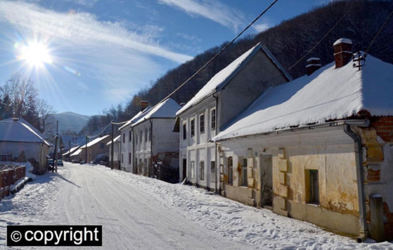 Guesthouse Smiljanic Slavkovica Exteriér fotografie